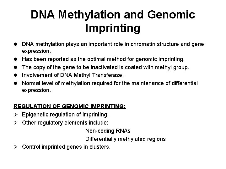 DNA Methylation and Genomic Imprinting l DNA methylation plays an important role in chromatin