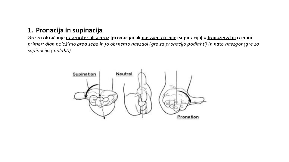 1. Pronacija in supinacija Gre za obračanje navznoter ali v prav (pronacija) ali navzven