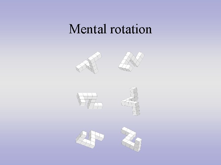 Mental rotation 