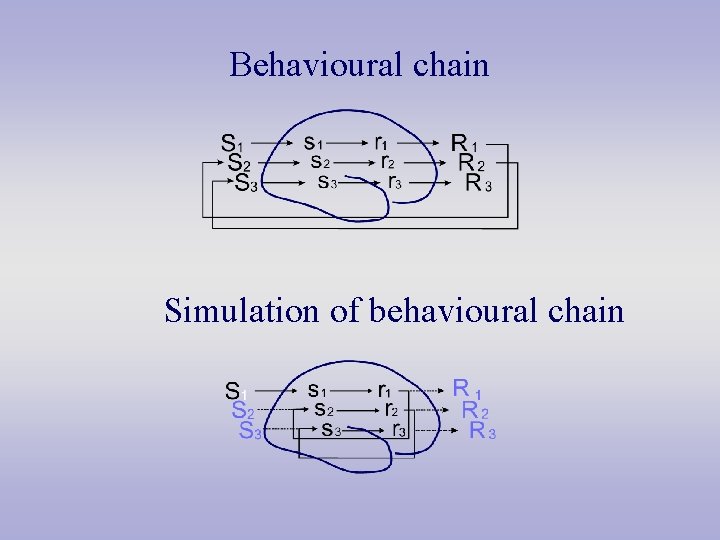 Behavioural chain Simulation of behavioural chain 