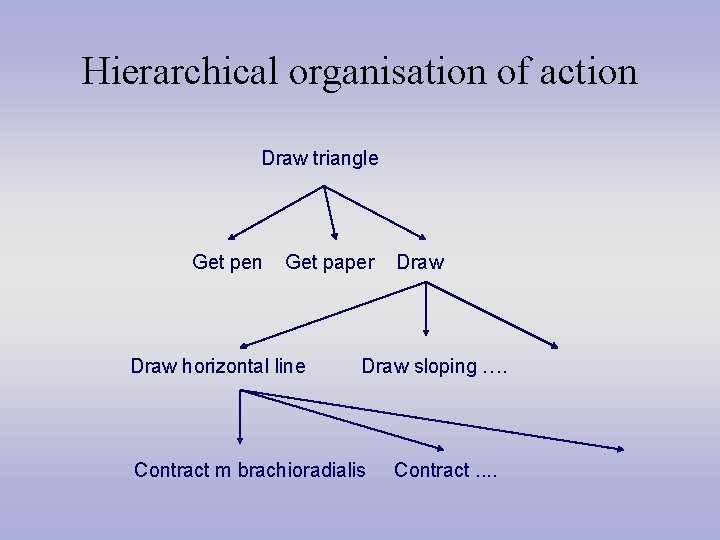 Hierarchical organisation of action Draw triangle Get pen Get paper Draw horizontal line Draw