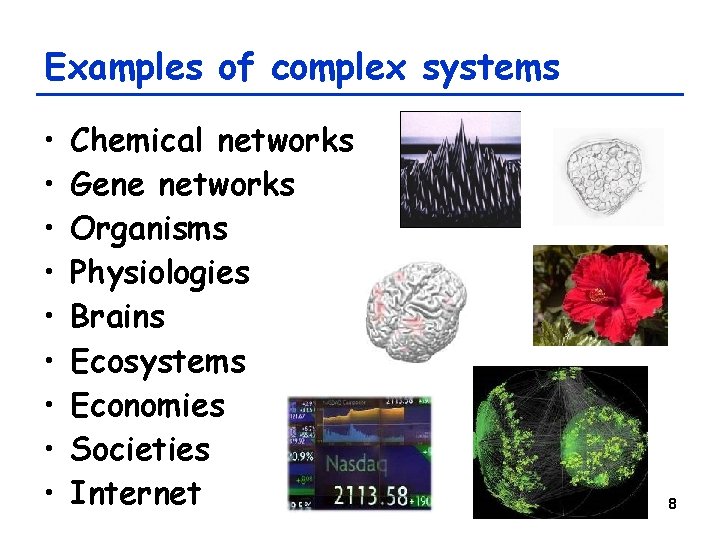 Examples of complex systems • • • Chemical networks Gene networks Organisms Physiologies Brains Examples of complex systems • • • Chemical networks Gene networks Organisms Physiologies Brains