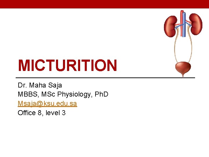 MICTURITION Dr. Maha Saja MBBS, MSc Physiology, Ph. D Msaja@ksu. edu. sa Office 8,