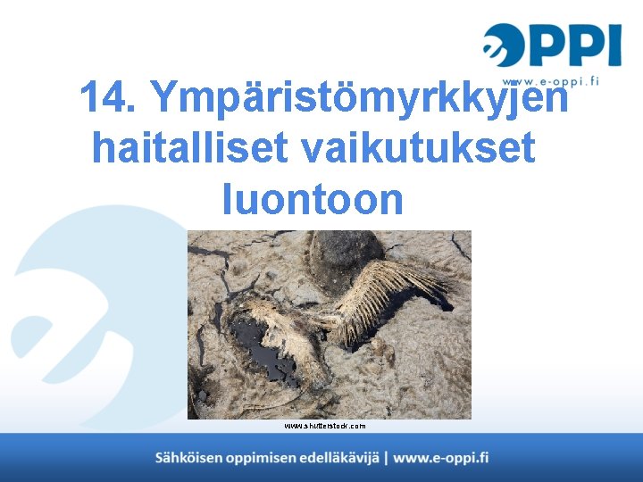 14. Ympäristömyrkkyjen haitalliset vaikutukset luontoon www. shutterstock. com 