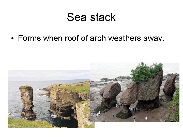 Sea stack • Forms when roof of arch weathers away. Sea stack • Forms when roof of arch weathers away.