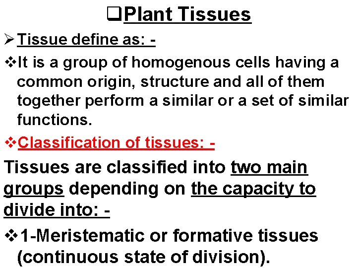 q. Plant Tissues Ø Tissue define as: v. It is a group of homogenous