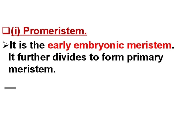 q(i) Promeristem. ØIt is the early embryonic meristem. It further divides to form primary