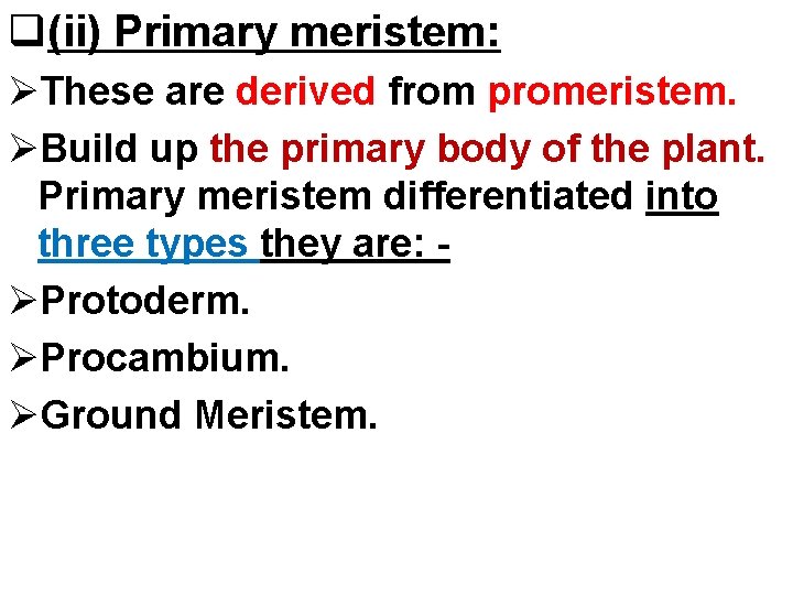 q(ii) Primary meristem: ØThese are derived from promeristem. ØBuild up the primary body of