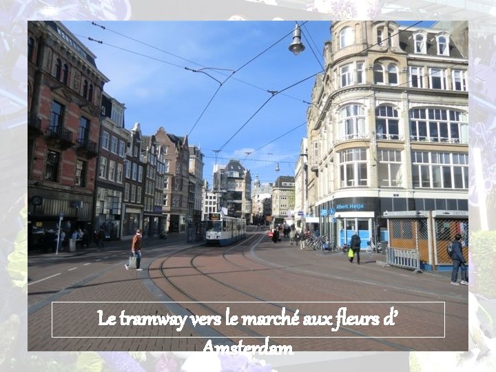 Le tramway vers le marché aux fleurs d’ Amsterdam 