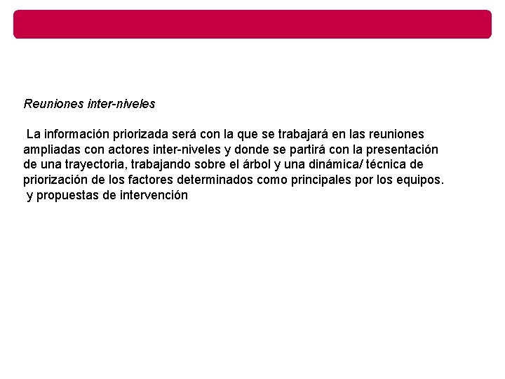  Reuniones inter-niveles La información priorizada será con la que se trabajará en las