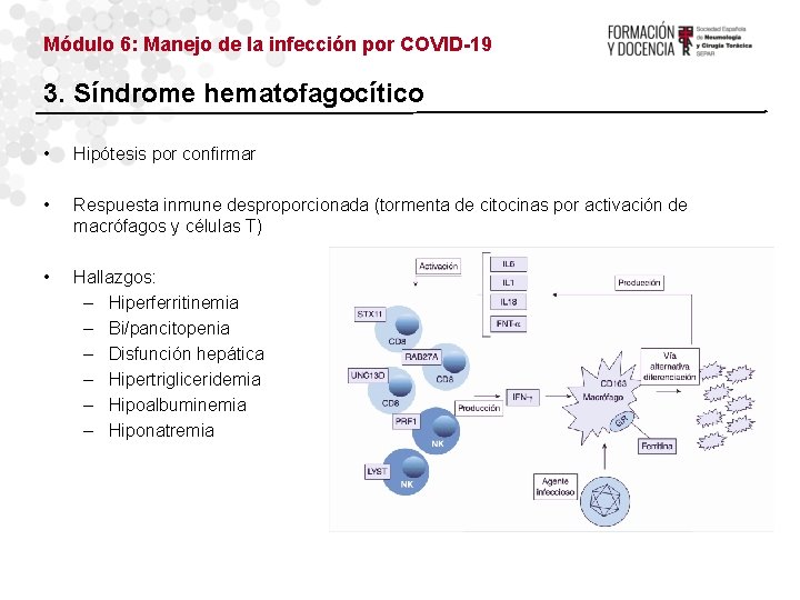 Módulo 6: Manejo de la infección por COVID-19 3. Síndrome hematofagocítico • Hipótesis por