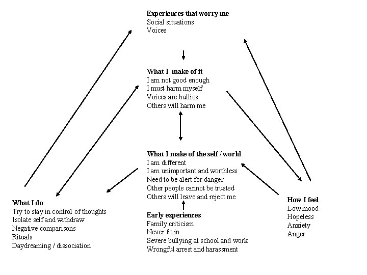 Experiences that worry me Social situations Voices What I make of it I am
