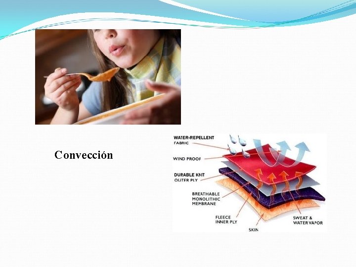 Convección 