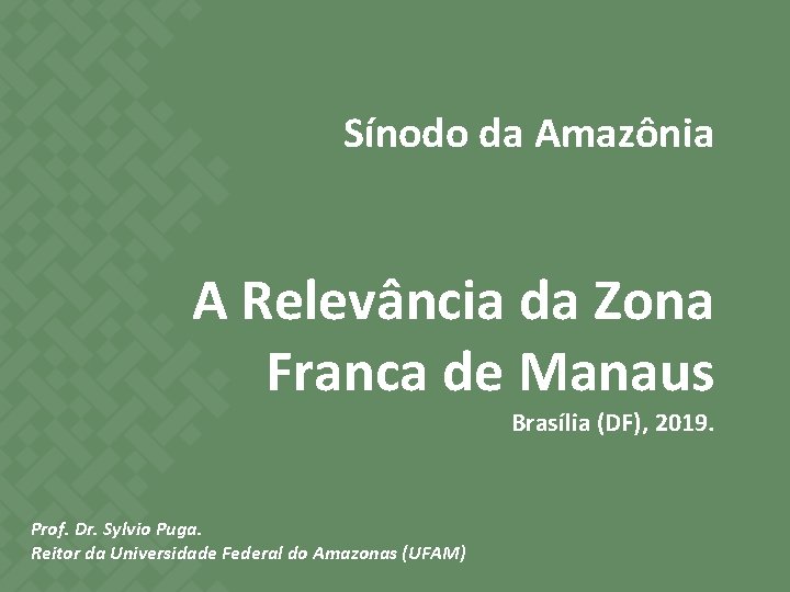 Sínodo da Amazônia A Relevância da Zona Franca de Manaus Brasília (DF), 2019. Prof. Sínodo da Amazônia A Relevância da Zona Franca de Manaus Brasília (DF), 2019. Prof.