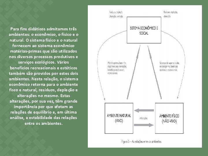 Para fins didáticos admitamos três ambientes: o econômico, o físico e o natural. O Para fins didáticos admitamos três ambientes: o econômico, o físico e o natural. O