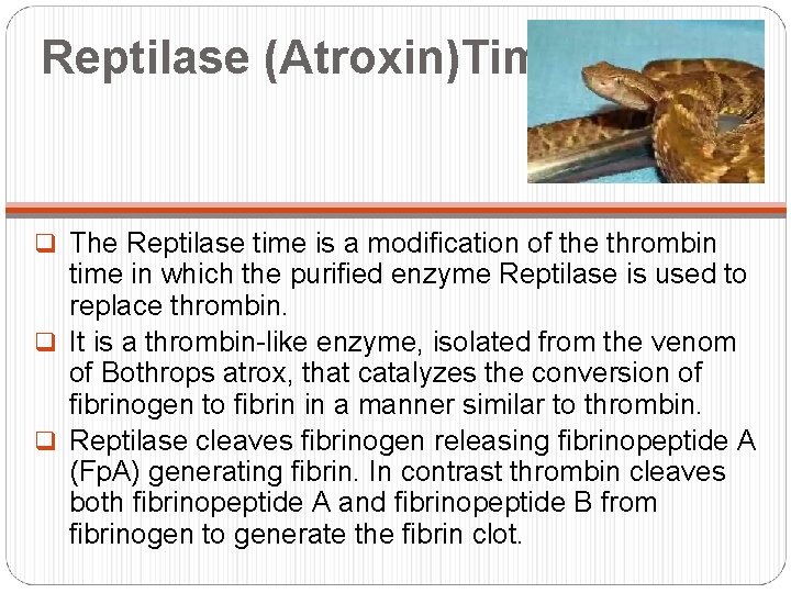 Reptilase (Atroxin)Time q The Reptilase time is a modification of the thrombin time in