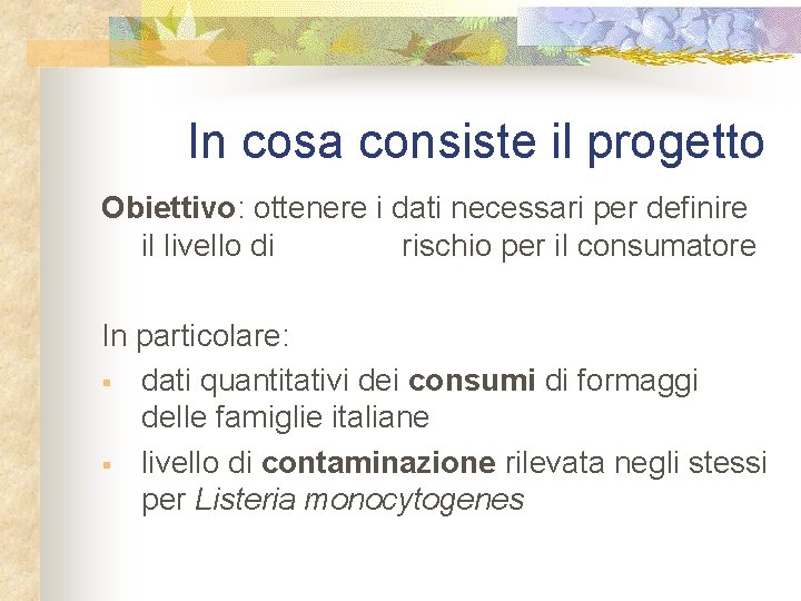 In cosa consiste il progetto Obiettivo: ottenere i dati necessari per definire il livello