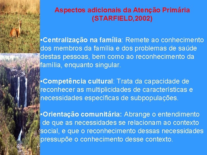 Aspectos adicionais da Atenção Primária (STARFIELD, 2002) • Centralização na família: Remete ao conhecimento