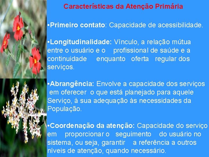 Características da Atenção Primária • Primeiro contato: Capacidade de acessibilidade. • Longitudinalidade: Vínculo, a