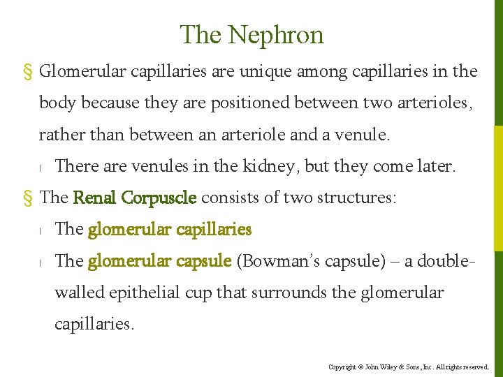 The Nephron § Glomerular capillaries are unique among capillaries in the body because they