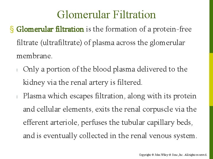 Glomerular Filtration § Glomerular filtration is the formation of a protein-free filtrate (ultrafiltrate) of