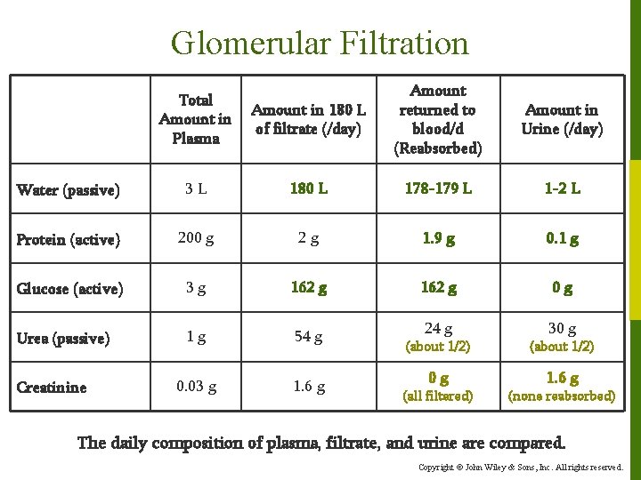 Glomerular Filtration Amount in 180 L of filtrate (/day) Amount returned to blood/d (Reabsorbed)