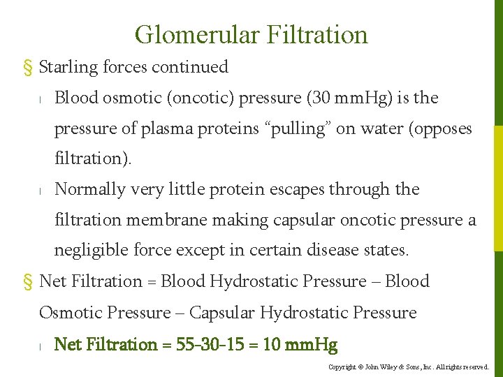 Glomerular Filtration § Starling forces continued l Blood osmotic (oncotic) pressure (30 mm. Hg)