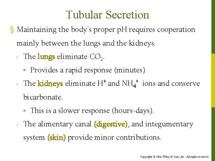 Tubular Secretion § Maintaining the body’s proper p. H requires cooperation mainly between the