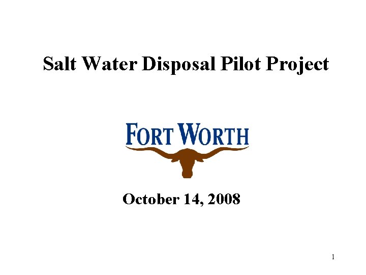 Salt Water Disposal Pilot Project October 14, 2008 1 