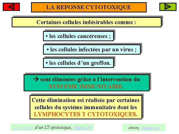 LA REPONSE CYTOTOXIQUE Certaines cellules indésirables comme : • les cellules cancéreuses ; •