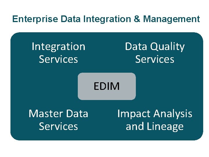 Enterprise Data Integration & Management Integration Services Data Quality Services EDIM Master Data Services