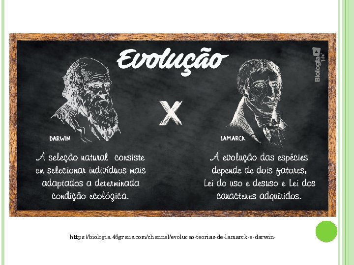 https: //biologia. 46 graus. com/channel/evolucao-teorias-de-lamarck-e-darwin- https: //biologia. 46 graus. com/channel/evolucao-teorias-de-lamarck-e-darwin-
