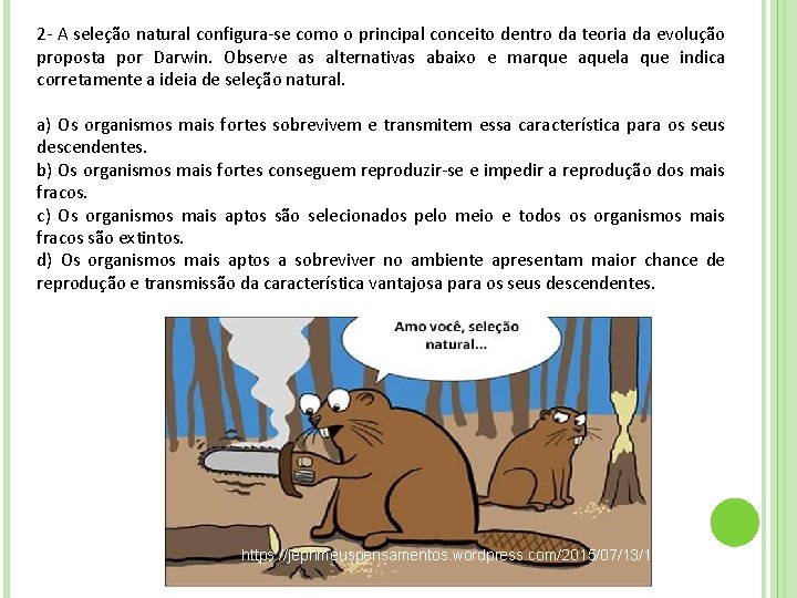2 - A seleção natural configura-se como o principal conceito dentro da teoria da 2 - A seleção natural configura-se como o principal conceito dentro da teoria da