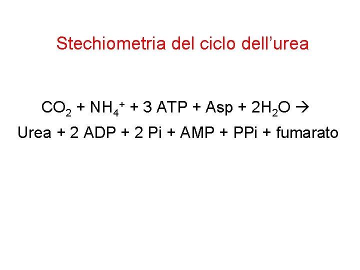 Stechiometria del ciclo dell’urea CO 2 + NH 4+ + 3 ATP + Asp