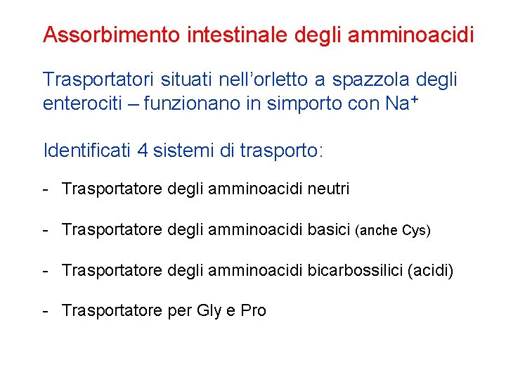 Assorbimento intestinale degli amminoacidi Trasportatori situati nell’orletto a spazzola degli enterociti – funzionano in