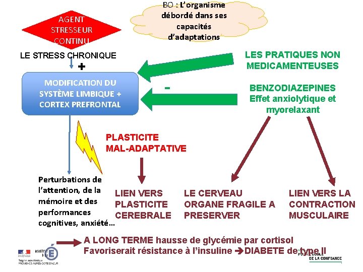 BO : L’organisme débordé dans ses capacités d’adaptations AGENT STRESSEUR CONTINU LES PRATIQUES NON