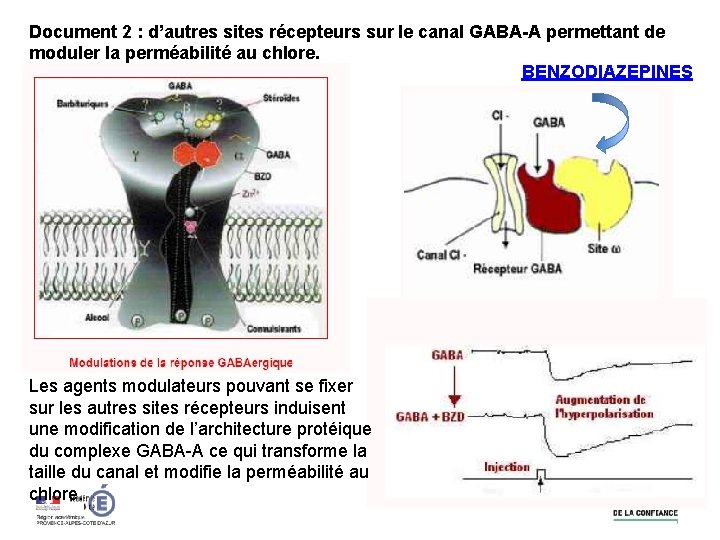 Document 2 : d’autres sites récepteurs sur le canal GABA-A permettant de moduler la