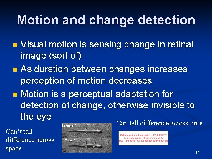 Motion and change detection Visual motion is sensing change in retinal image (sort of)