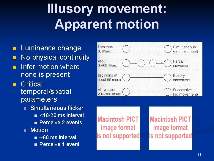 Illusory movement: Apparent motion n n Luminance change No physical continuity Infer motion where