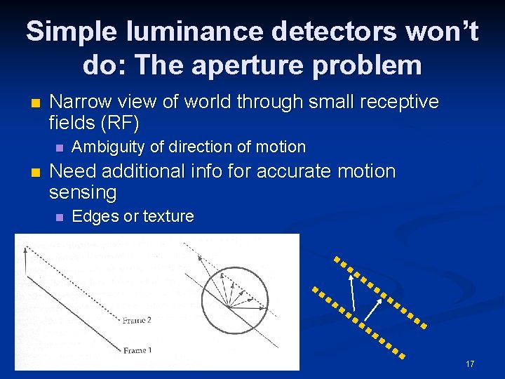 Simple luminance detectors won’t do: The aperture problem n Narrow view of world through