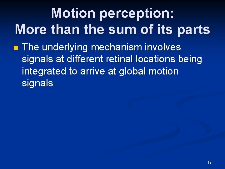 Motion perception: More than the sum of its parts n The underlying mechanism involves