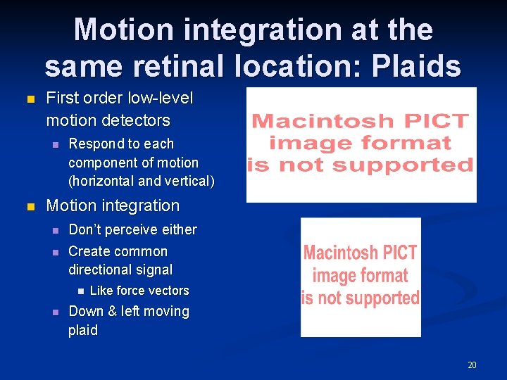 Motion integration at the same retinal location: Plaids n First order low-level motion detectors