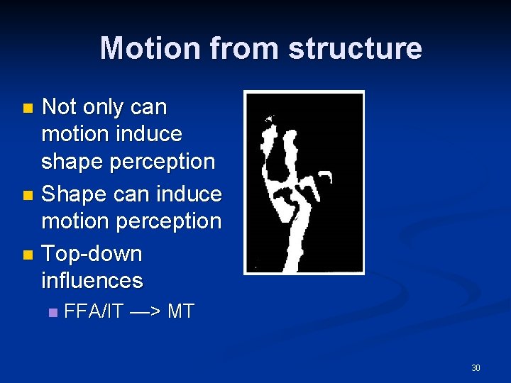 Motion from structure Not only can motion induce shape perception n Shape can induce