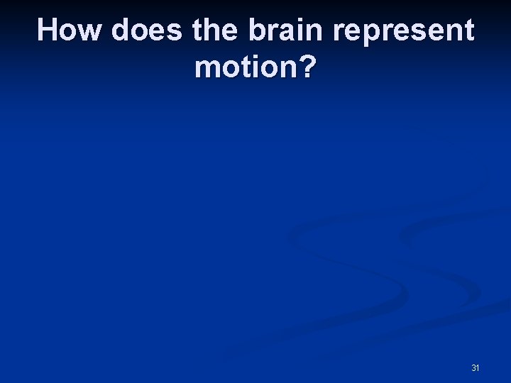 How does the brain represent motion? 31 