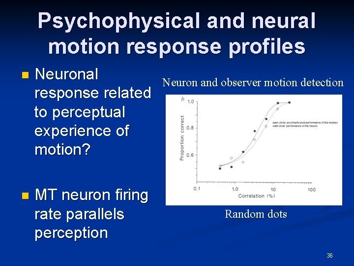 Psychophysical and neural motion response profiles n Neuronal response related to perceptual experience of