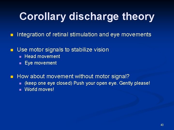 Corollary discharge theory n Integration of retinal stimulation and eye movements n Use motor