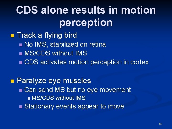 CDS alone results in motion perception n Track a flying bird No IMS, stabilized