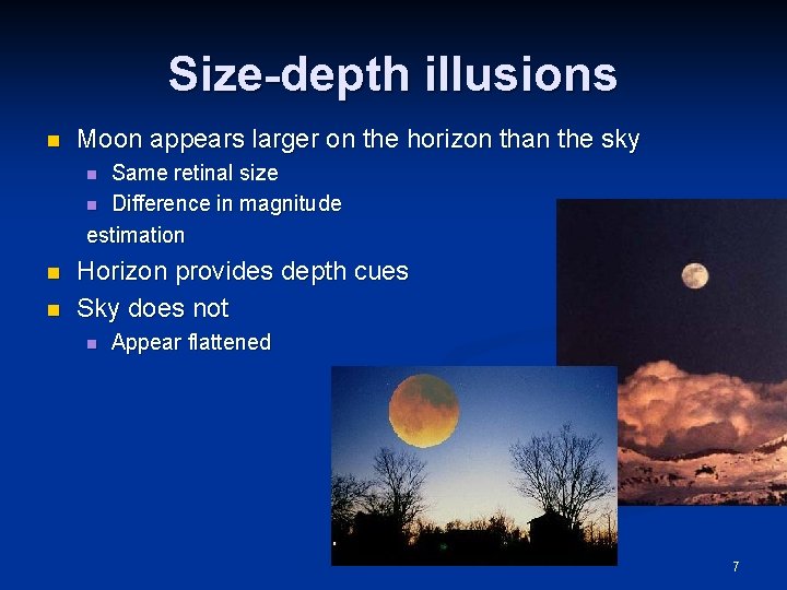 Size-depth illusions n Moon appears larger on the horizon than the sky Same retinal