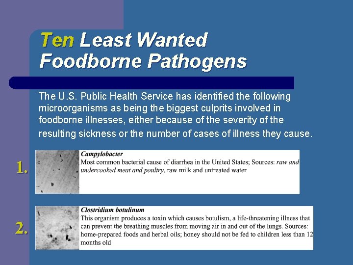 Ten Least Wanted Foodborne Pathogens The U. S. Public Health Service has identified the
