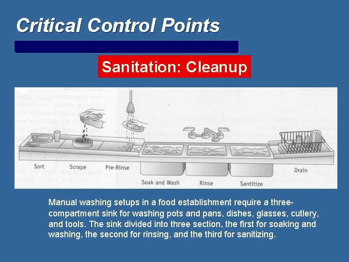 Critical Control Points Sanitation: Cleanup Manual washing setups in a food establishment require a